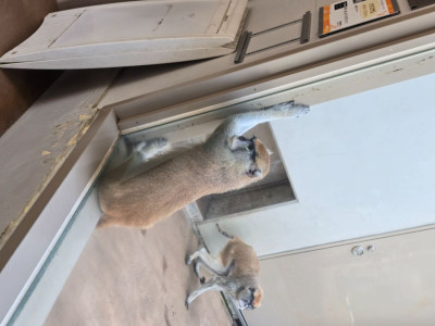 おりばの写メ