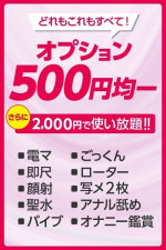 オプション500円！フルオプション2000円！！